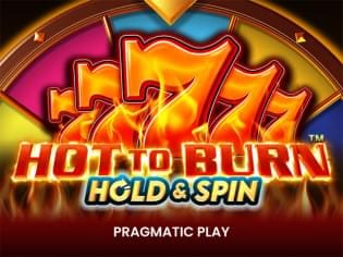 Hot to Burn Hold and Spin screenshot
